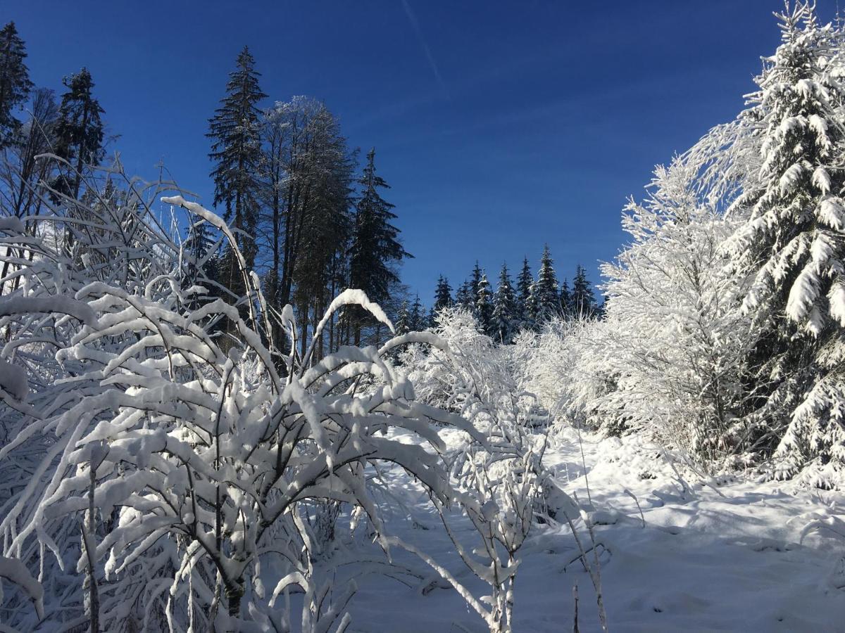 Weitnaustyle - Renoviert, Modern, Allergikerfreundlich Exteriér fotografie